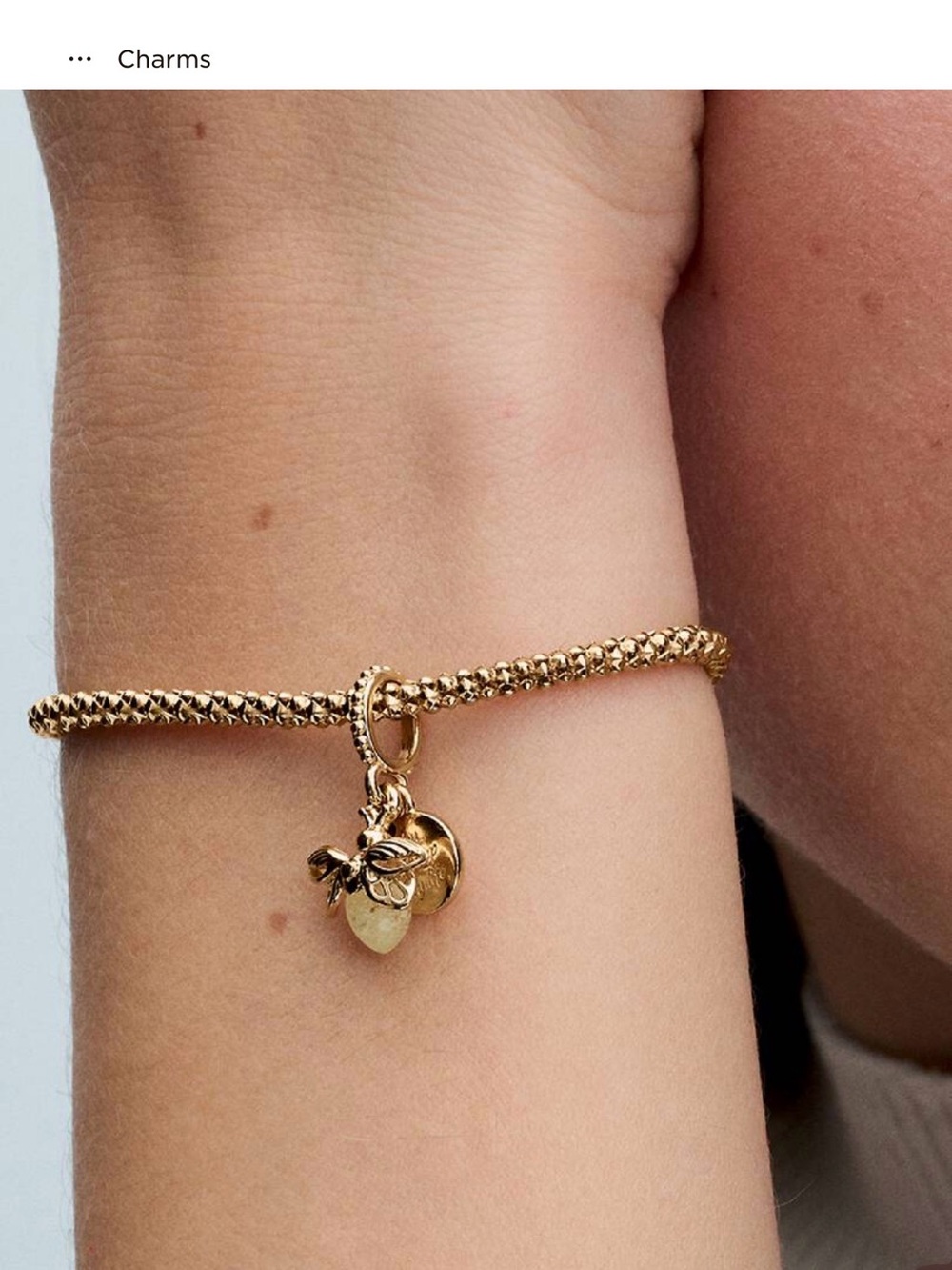 Brand new! Pandora Glow-in-the-dark Firefly Dangle Charm
14k gold plating